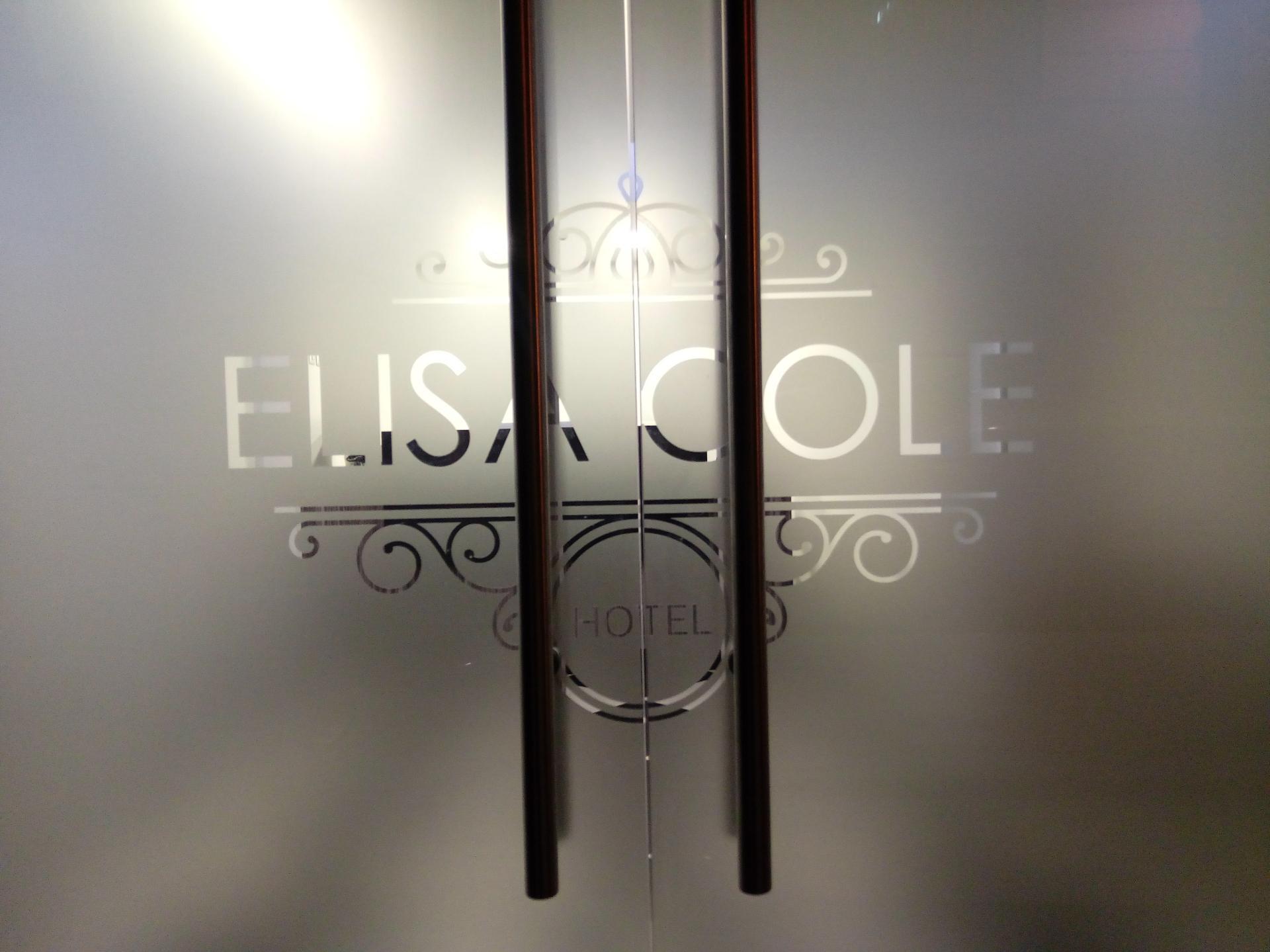 Hotel Elisa Cole Santiago de Chile Exteriér fotografie